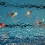 IMG_1152 IMG_1152